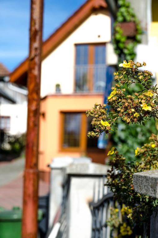 Relax Penzion U Adama Dolná Tižina Buitenkant foto